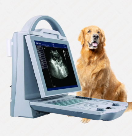 Kaixin KX5600 Grayscale Veterinary Ultrasound Machine